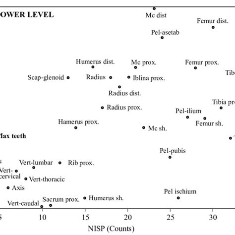 Nisp Counts Of Skeletal Elements For The Upper Mb Iib Level L900902