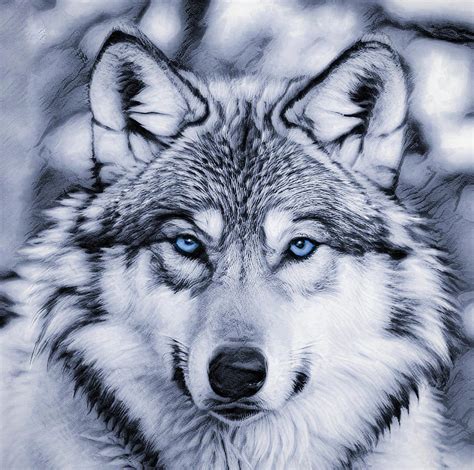 Blue Wolf Spirit Digital Art by Kevin Lane - Fine Art America