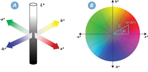 A: Three-dimensional CIELAB color space where the L* axis represents ...