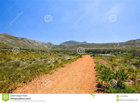 Beautiful View of a Hiking Trail in Silvermine Nature Reserve Stock ...