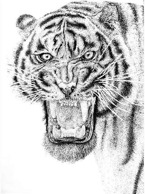 Tiger Pen And Ink Stipple Drawing Poster For Sale By Jcianci Redbubble