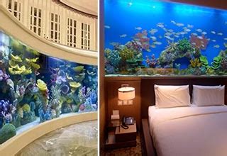 17 Next Level Aquariums That Are Out Of This World Wow Gallery