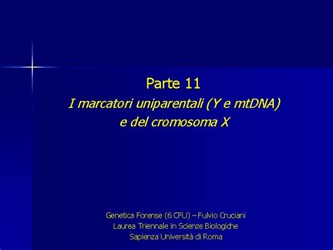 Parte 11 I Marcatori Uniparentali Y E Mt