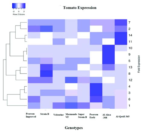 Heat Map Of Heat Shock Transcription Factor Hsf Samples Collected At