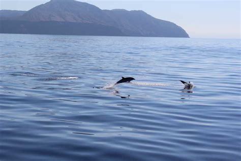 Da Cefalù tour di Salina Panarea e Stromboli con giro in barca