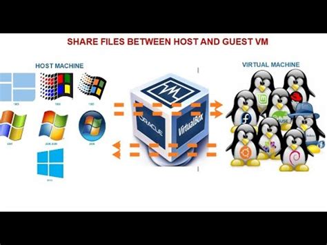 How To Share Files Between Host Machine And Guest Virtual Machine