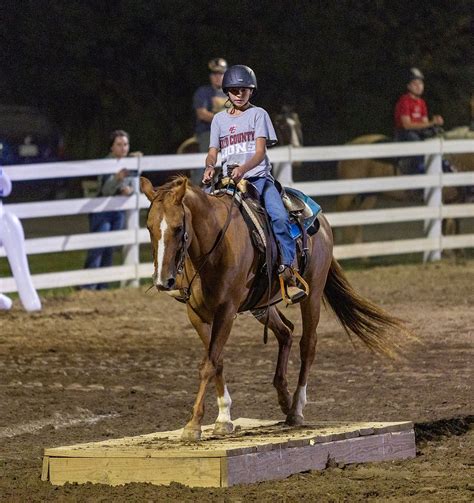 Horse Shows | Boydcountyfair