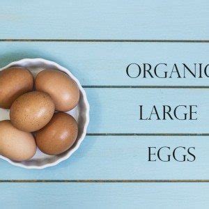 Organic-Large-Eggs – Natural Sweet Recipes