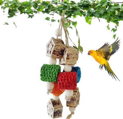 Rianpesn Bird Chew Toys Parrot Foraging Shredder Toys Shred Hangings