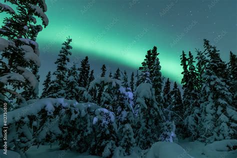 A stunning winter view of the northern lights, aurora borealis seen in ...