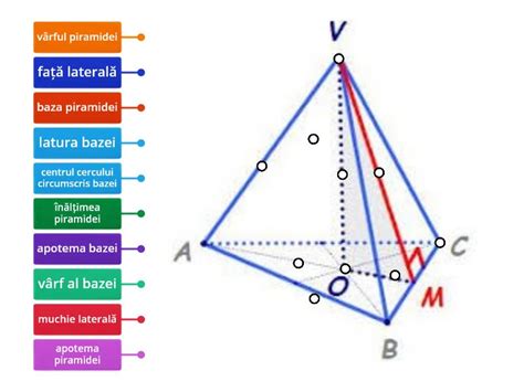 Piramida Triunghiulară Regulată Labelled Diagram