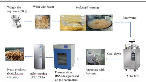 Table 1 from Nattokinase Activity Guided Natto Fermentation Process Optimization | Semantic Scholar