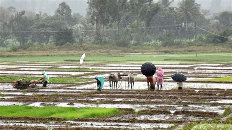 Tackling Unseasonal Rain The Hindu Businessline