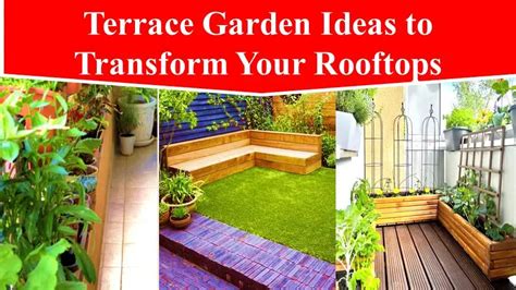 Latest 10 Finest Terrace Garden Ideas to Transform Your Rooftops