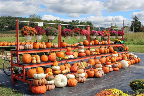 Hammond School Farm Market | reallancastercounty