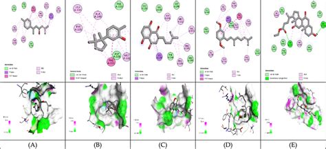 Molecular Docking Of Selected Compounds Against Bcl D And D