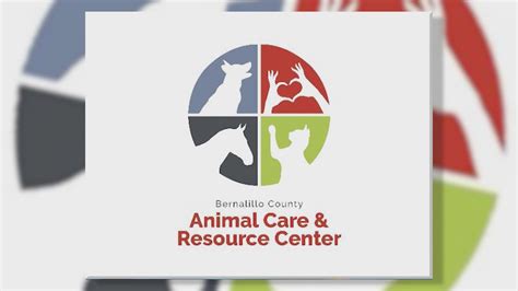 Bernalillo County Offers Free Vaccines And Microchips For Animals