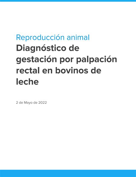 Solution Diagnostico De Gestacion Por Palpacion Rectal En Bovinos De