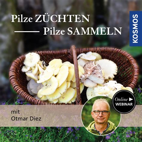 Pilze züchten Pilze sammeln