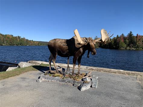 Why Investing In Indian Lake Ny Real Estate Is A Great Opportunity For Nature Lovers And Outdoor Enthusiasts 3