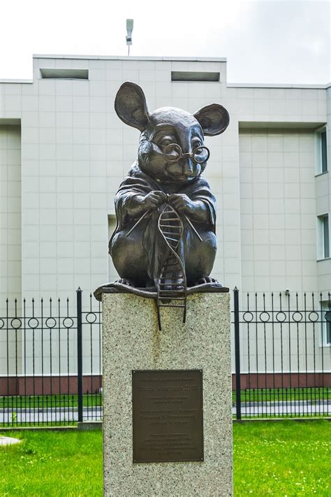 In Novosibirsk There Is A Bronze Statue Depicting A Mouse Knitting A