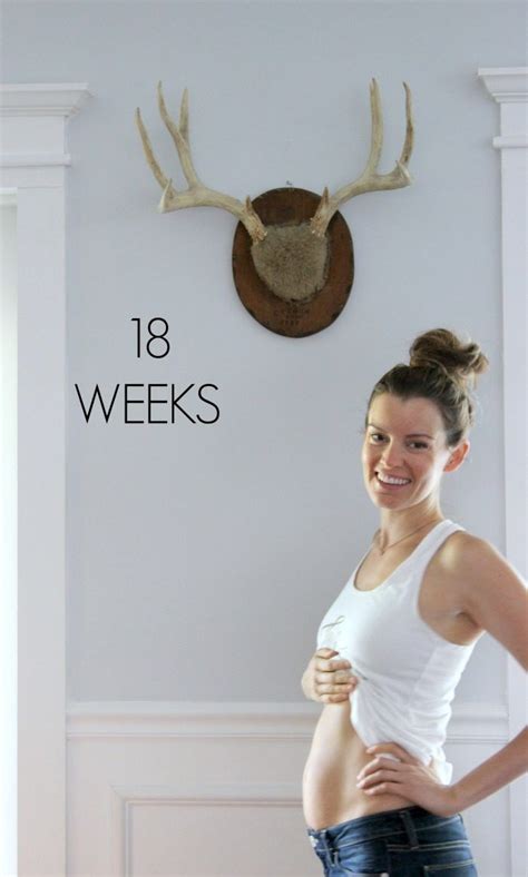 18 Weeks Pregnant Dream Book Design 18 Weeks Pregnant Pregnant 22