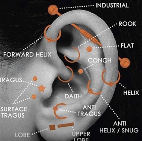 Ear Piercing diagram in 2023 | Cool ear piercings, Ear piercings chart, Earings piercings