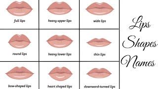 Types Of Lips And Their Meaning Lipstutorial Org