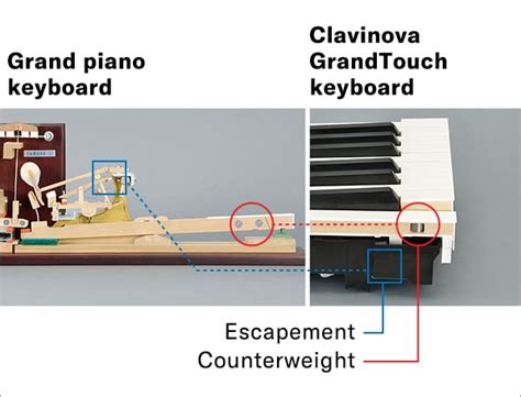 A Quick Guide to Weighted Keys - Yamaha Music