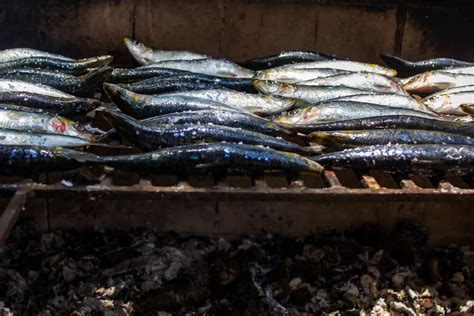 Comer Mais Sardinha E Menos Carne Vermelha Pode Salvar At Mil