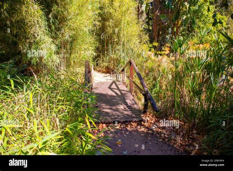 Stellenbosch University Botanical Garden Cape Town South Africa 08 04