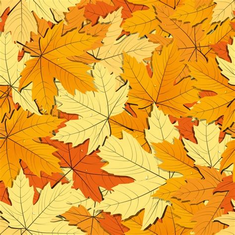 Maple leaves seamless wallpaper — Stock Vector © evdakovka #11849643