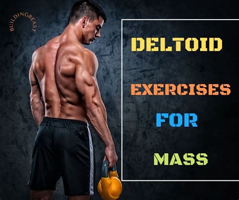 Best Deltoid Exercises To Build Massive Shoulders Buildingbeast