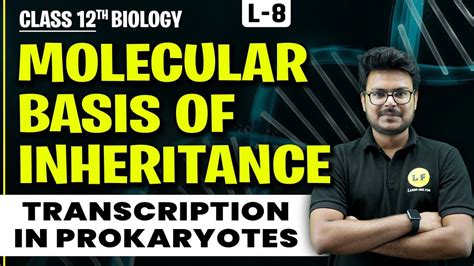 Molecular Basis Of Inheritance Class 12 Biology Ch 5 Transcription