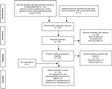 Diagnosis And Treatment Of A Mixed Epithelial Stromal Tumor Of The