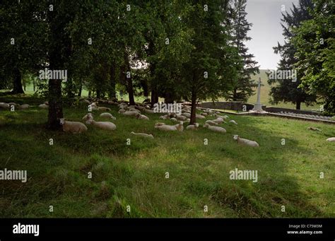 Y Ravine Cemetery Beaumont Hamel France Maintained By The