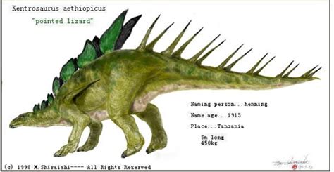 The Kentrosaurus was Stegosaurus Lite.