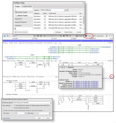 View intron feature evidence in the Genome Data Viewer and Sequence ...