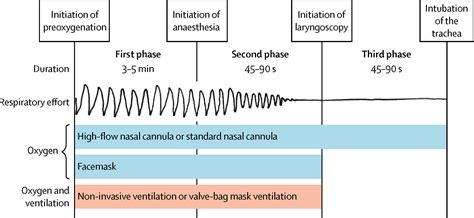 Ventilation Before Intubation How To Prevent Hypoxaemia The Lancet