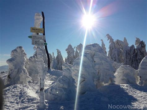 Ferie Zimowe 2025 Widokowa Chata