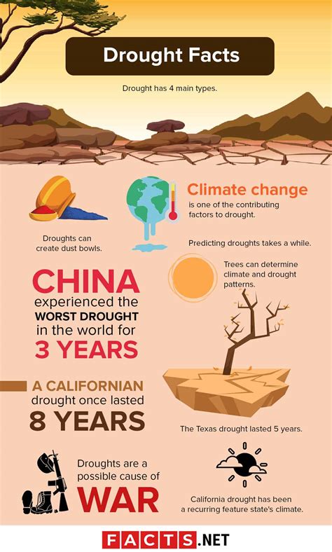 30 Interesting Drought Facts That Are Actually Not-So-Dry