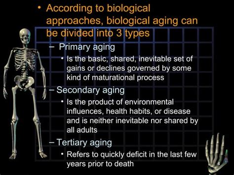 The Biology Of Ageing