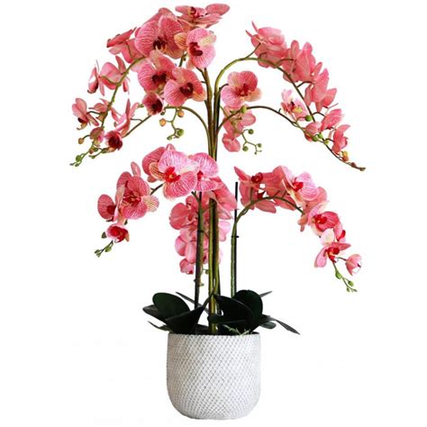 Extra Large Artificial Phalaenopsis Orchid Plants Pink 80cm