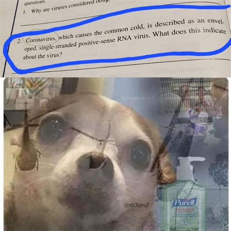 vietnam war flashbacks incoming rmcat