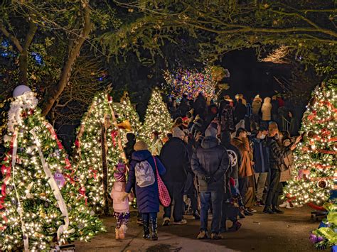 Philly Zoo holiday light show: 30 photos of LumiNature - On top of