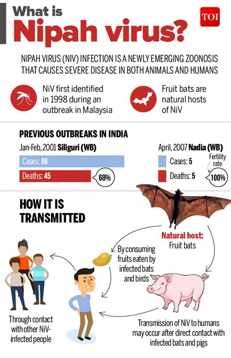 Nipah Virus All About Nipah The Virus That Has Entire Kerala In Panic