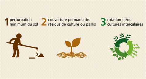 Les 5 Choses Que Vous Devez Savoir Sur L Agriculture De Conservation