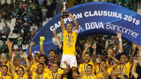 Tigres El Cuarto Grande