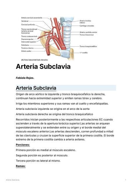 Arteria Subclavia Fabiola Rojas Udocz