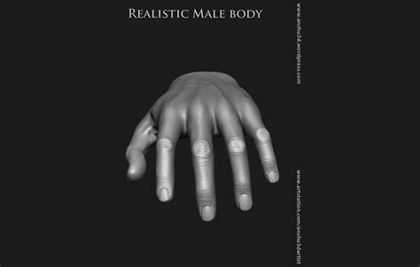 Realistic Human Male Body D Model By Anshu Dartist